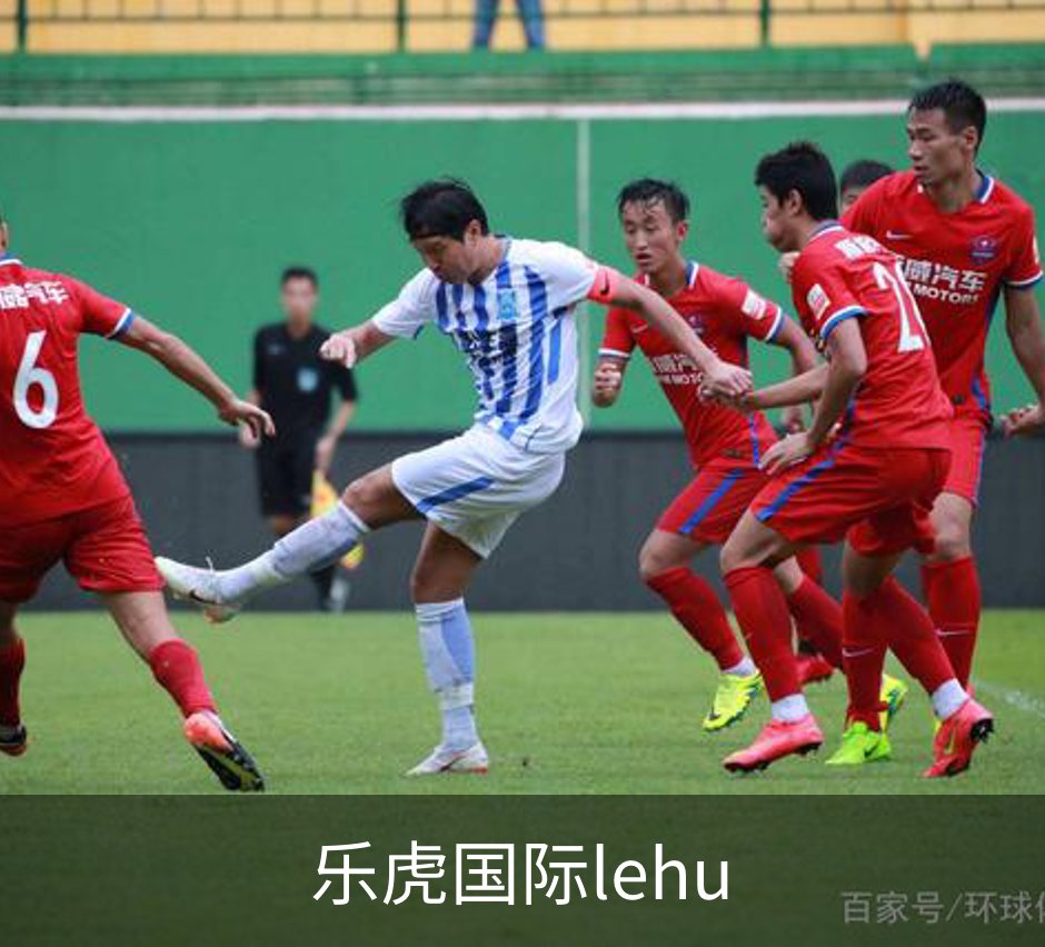 乐虎国际lehu简介